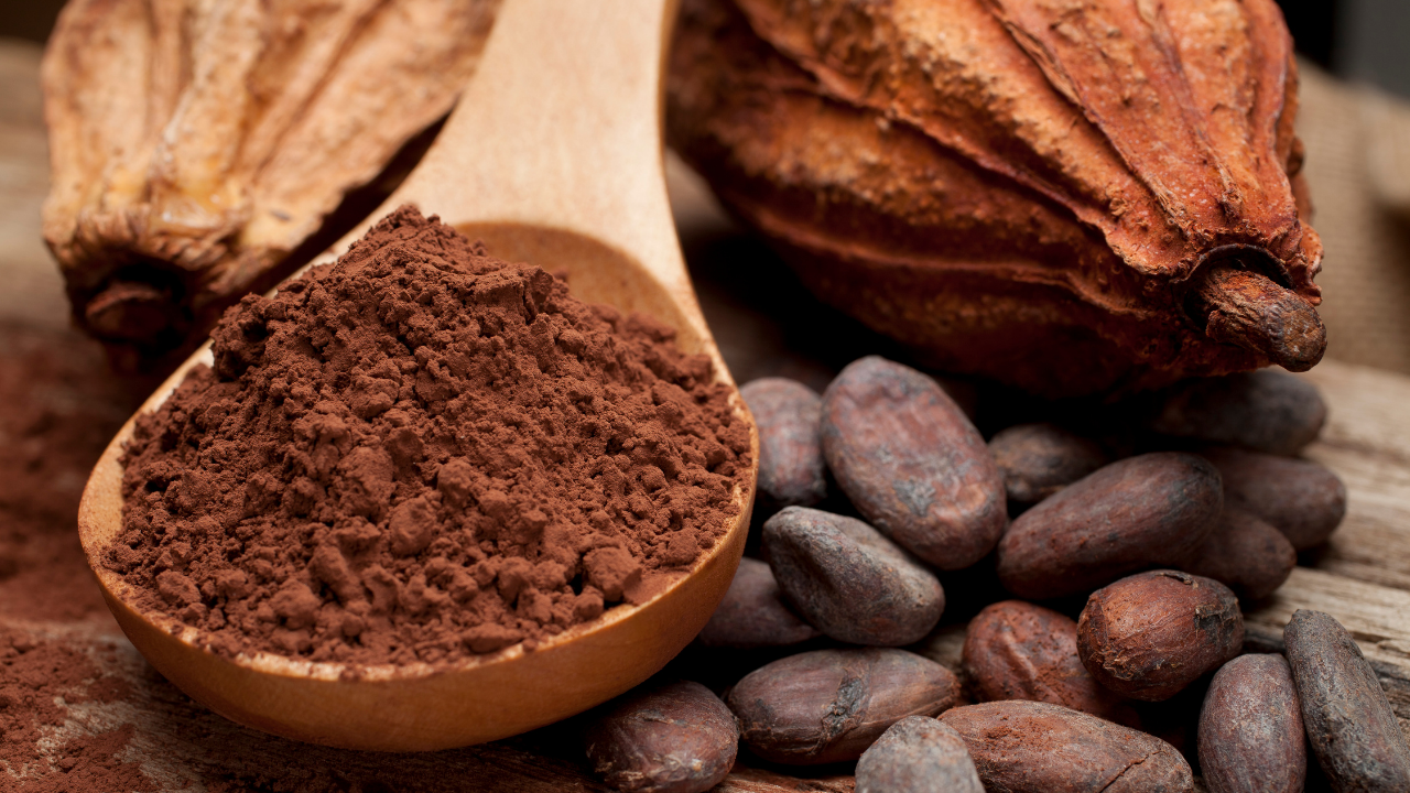 Sustainable cocoa, from farm to fermentary
