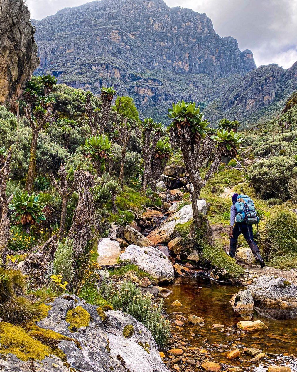 Landscapes Worth the Journey
